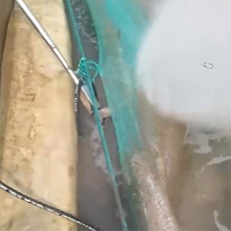 高壓清洗機(jī),進(jìn)口高壓清洗機(jī),高壓清洗機(jī)價(jià)格,超高壓清洗機(jī)