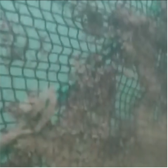 高壓清洗機(jī),進(jìn)口高壓清洗機(jī),高壓清洗機(jī)價(jià)格,超高壓清洗機(jī) 高壓清洗機(jī),進(jìn)口高壓清洗機(jī),高壓清洗機(jī)價(jià)格,超高壓清洗機(jī)