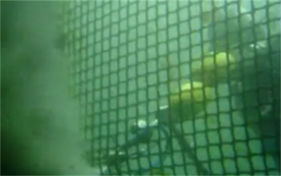 高壓清洗機(jī),進(jìn)口高壓清洗機(jī),高壓清洗機(jī)價(jià)格,超高壓清洗機(jī)