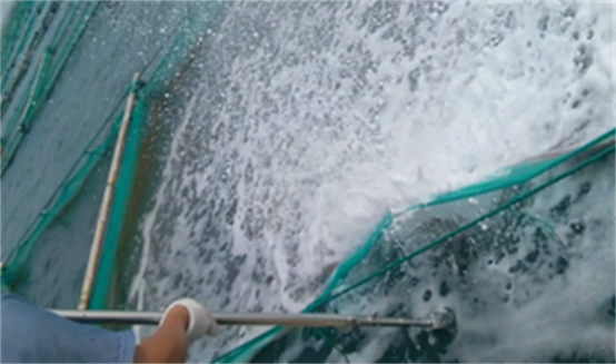 高壓清洗機(jī),進(jìn)口高壓清洗機(jī),高壓清洗機(jī)價(jià)格,超高壓清洗機(jī)