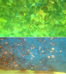 高壓清洗機(jī),進(jìn)口高壓清洗機(jī),高壓清洗機(jī)價(jià)格,超高壓清洗機(jī)