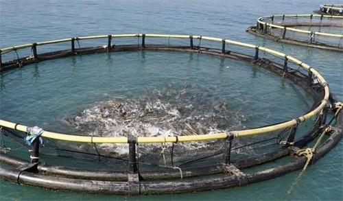 高壓清洗機(jī),進(jìn)口高壓清洗機(jī),高壓清洗機(jī)價格,超高壓清洗機(jī)